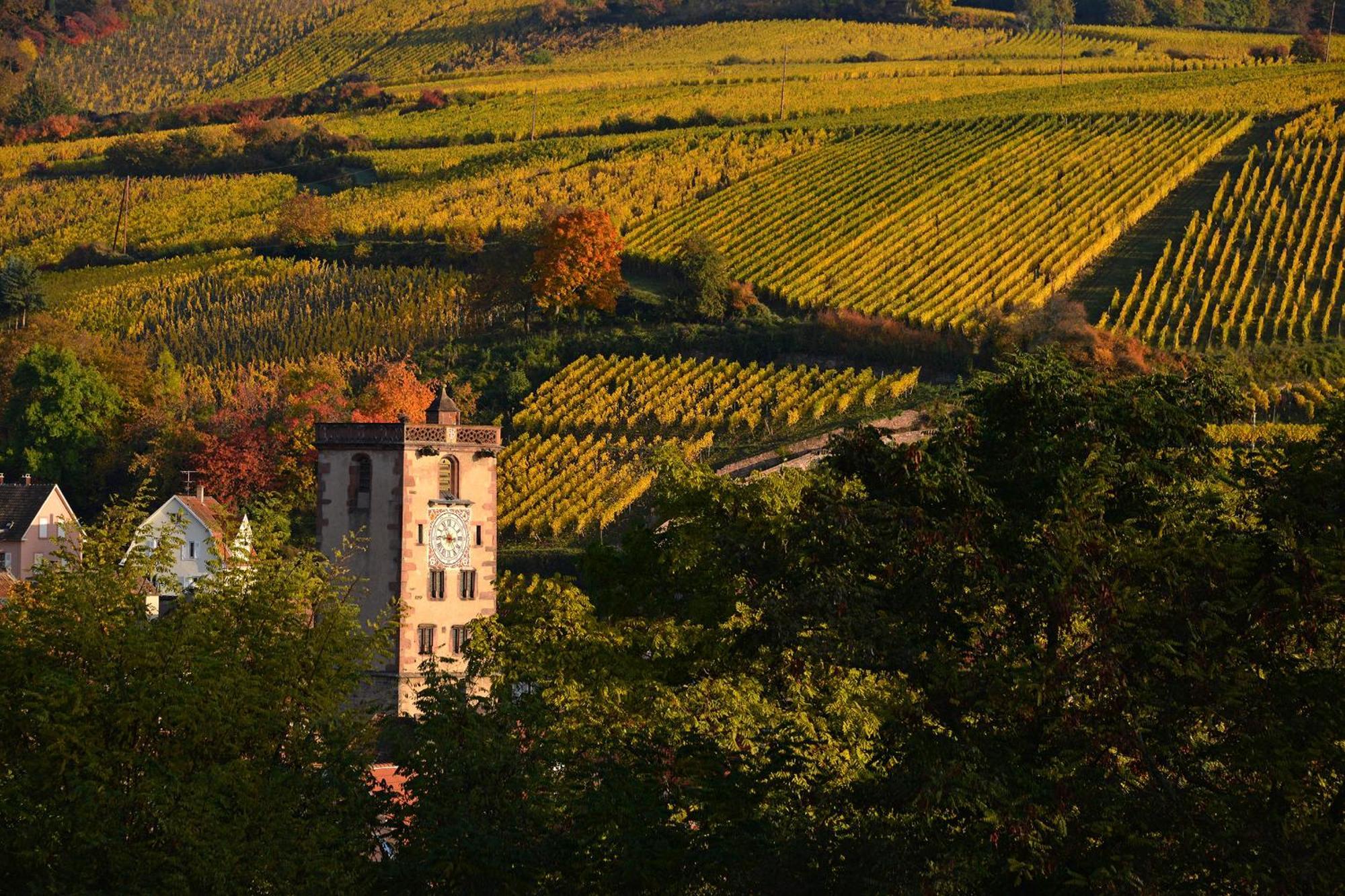 Au Nid D'Hirondelles Lägenhet Ribeauvillé Exteriör bild